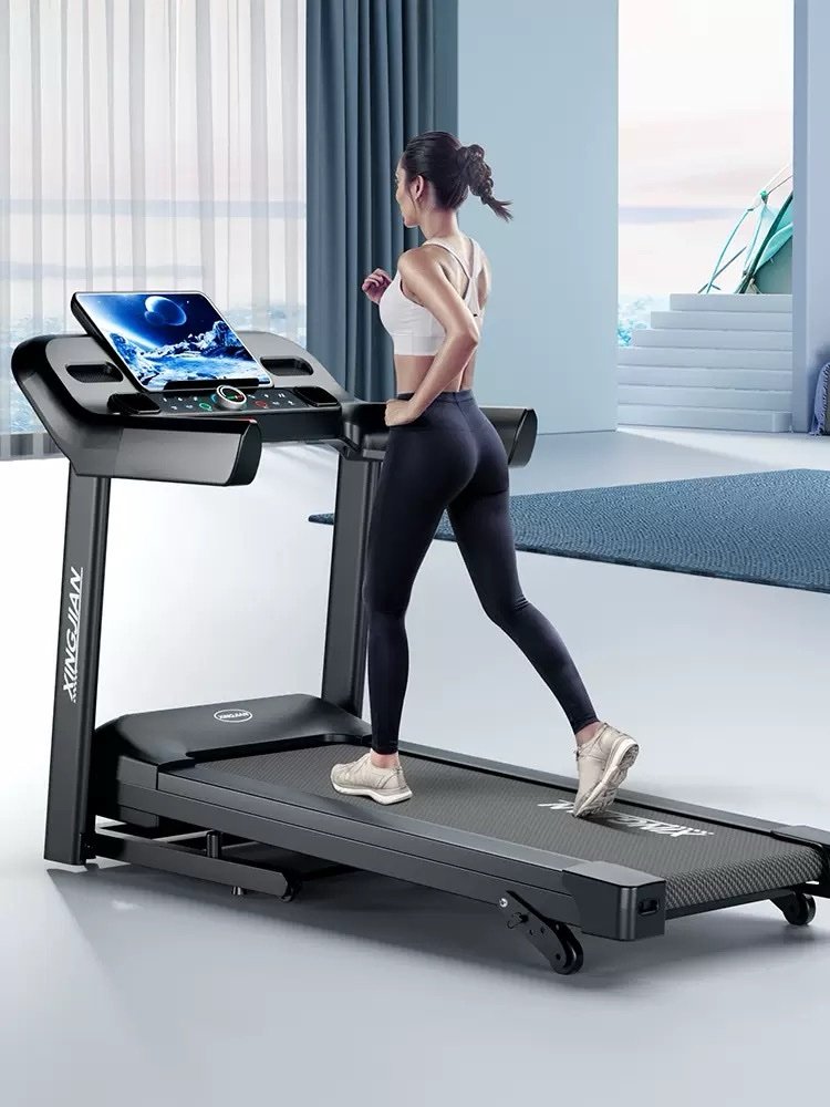 img_4508 PROFESSIONAL THREADMILL FOR HOME USE - Image 1